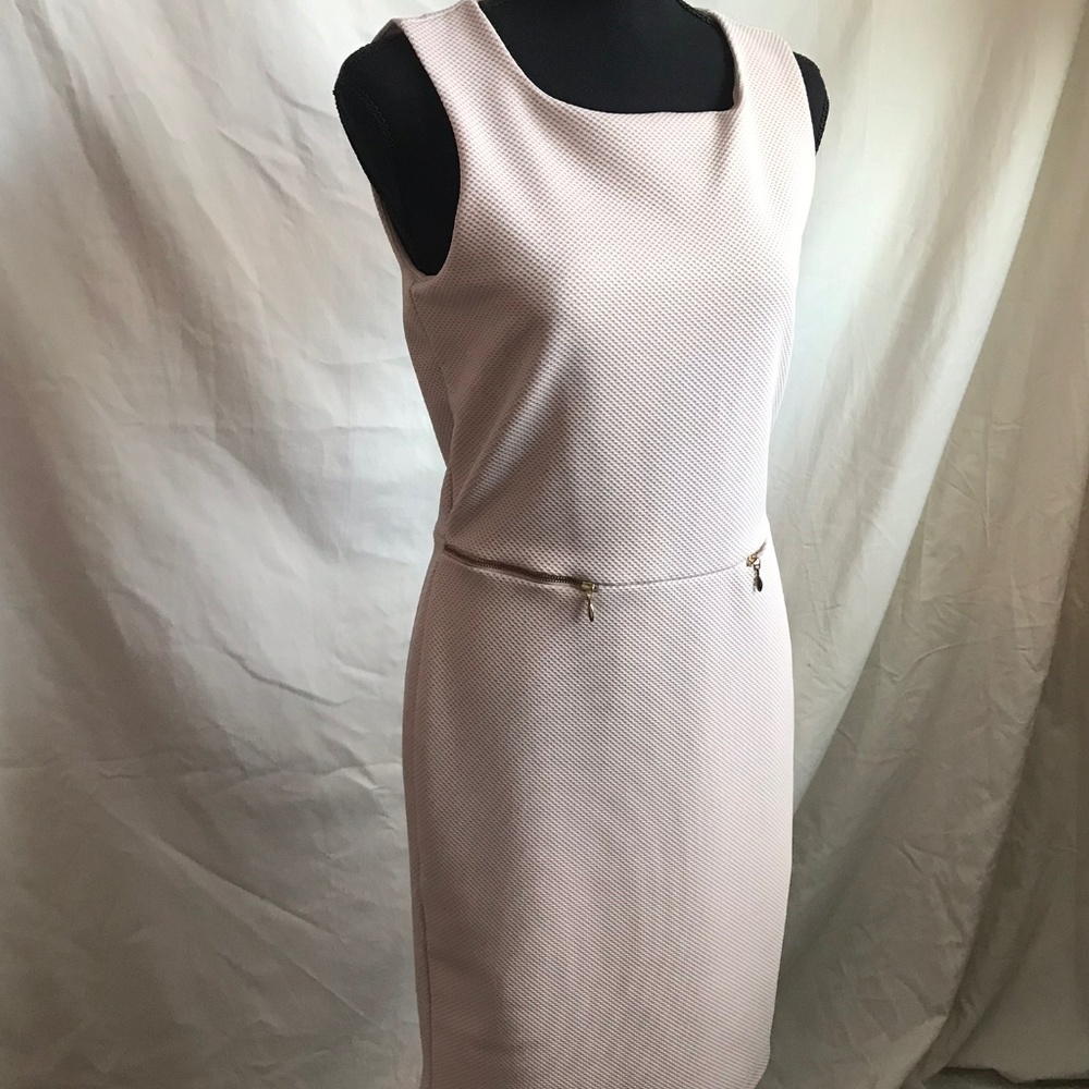The Limited Blush Sleeveless Dress